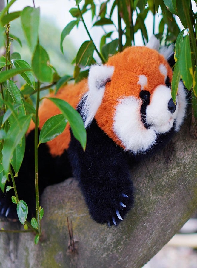 Chongker Cute Red Panda Plush Toy, Weighted Stuffed Animals, Red Panda Plush Animals Collection, Handmade Like Real, Large Size Stuffed Animals - Image 1